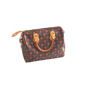 Louis Vuitton Monogram Cherries Speedy 25